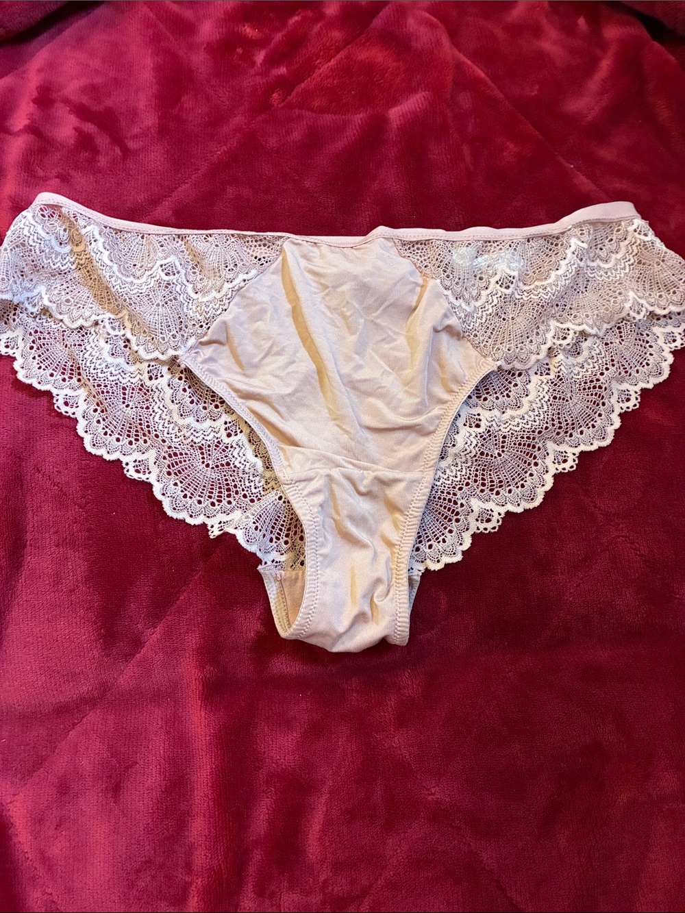 Cacique cheeky lace panties 18/20